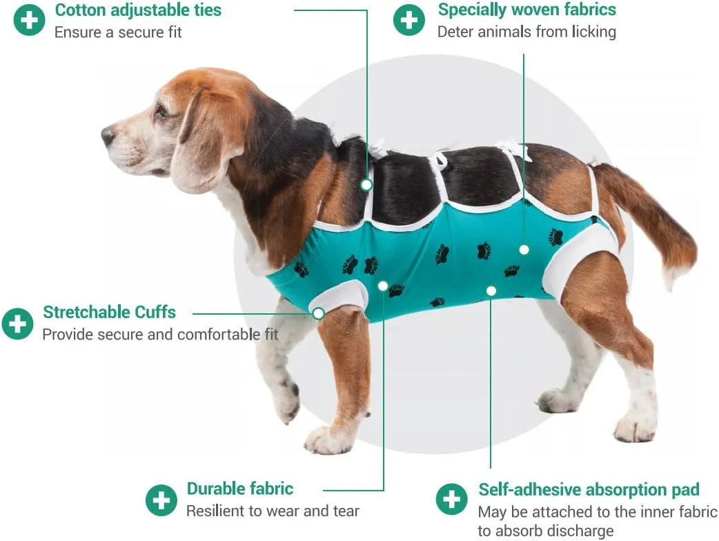 E-Collar Alternative for Cats and Dogs Designed to Protect Abdominal Wounds and Skin Disease. Award Winning and Patented Design Recommended by Veterinarians Worldwide. (Medium-Large, Lime Green)